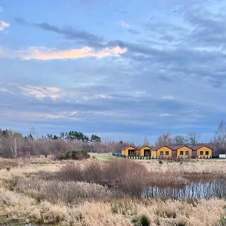 Marea Salazar Dębina *