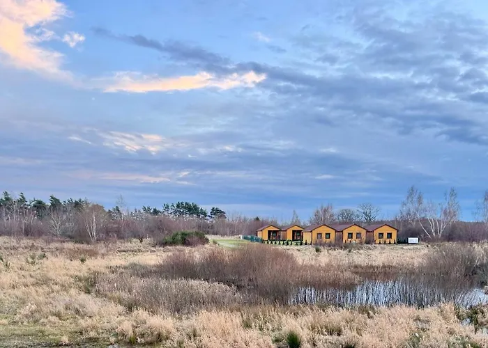 Marea Salazar Debina *